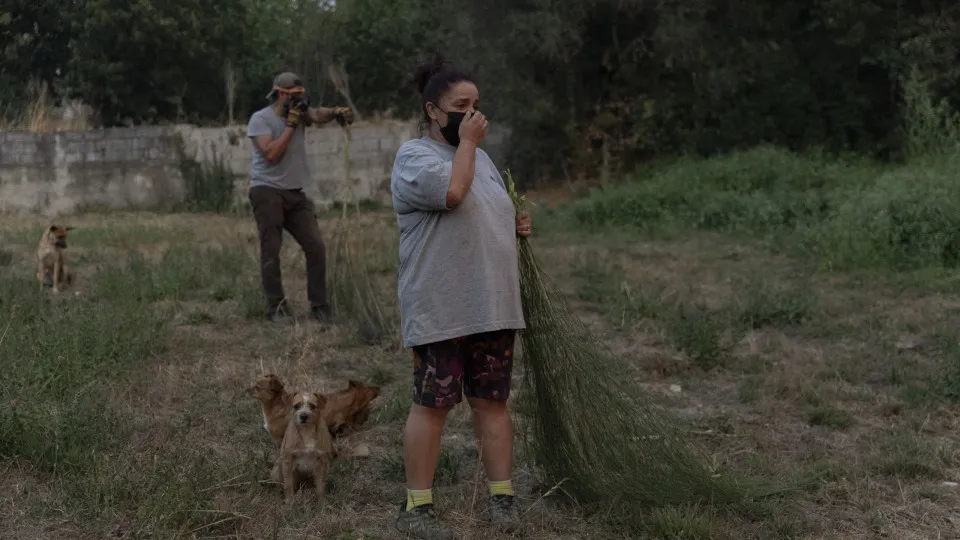 vilela seca, portugal, incêdios, fumo, máscara, cães, populares