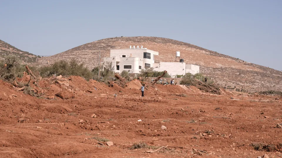 ONG israelita pede investigação por crimes de guerra na Cisjordânia