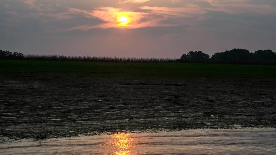 Juruá amazonas