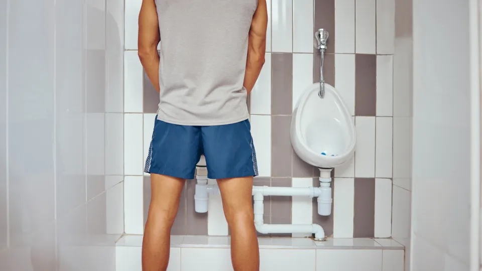 fazer xixi; homem; casa de banho