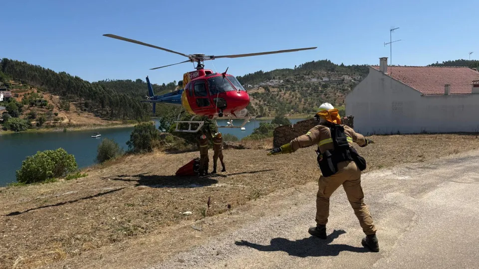 Equipa da GNR de helicóptero descobre estufa de canábis a caminho de fogo