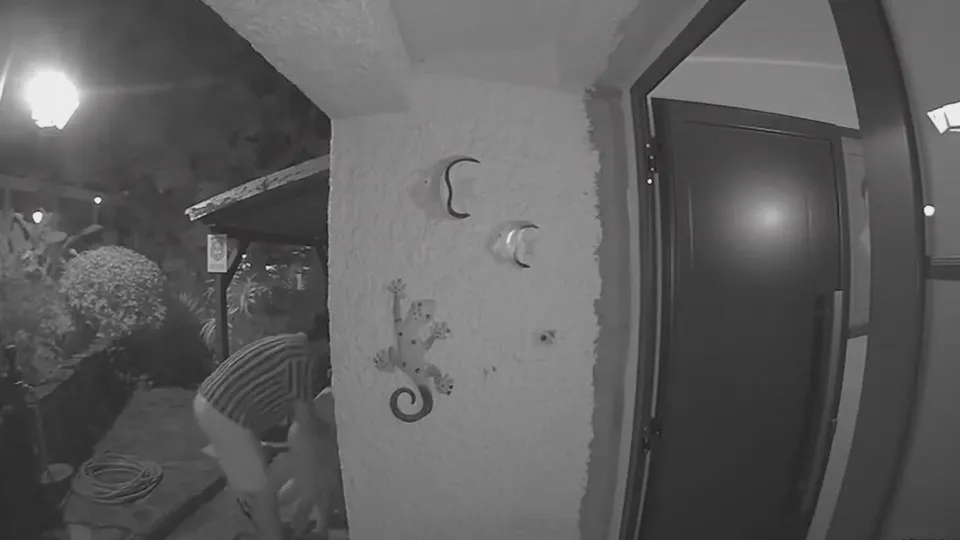 Detido homem filmado a agredir violentamente a mulher em Machico