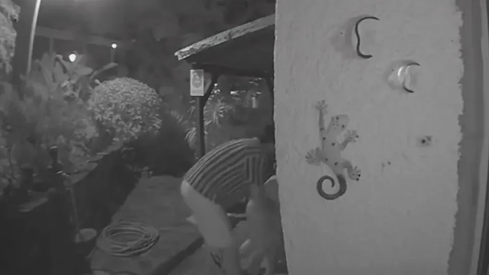 Bombeiro que espancou mulher à frente do filho detido. O que se segue?