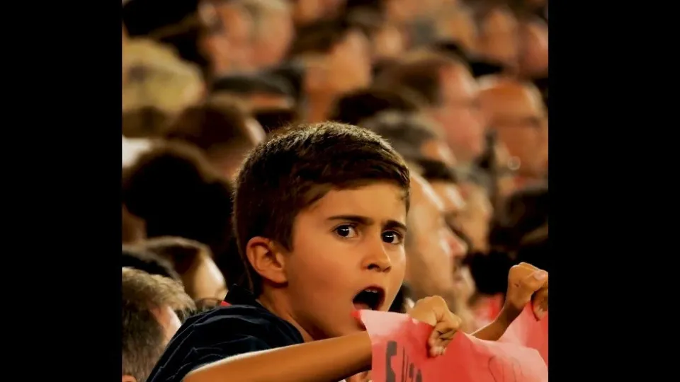 "Não se explica, sente-se". Benfica destaca apoio de criança na Champions