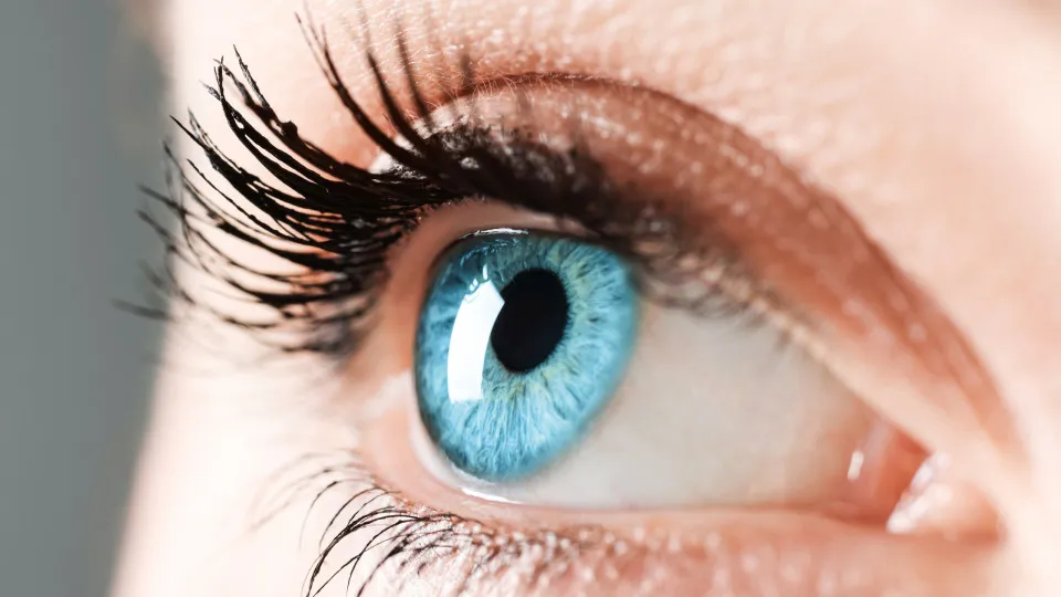 O movimento dos seus olhos pode indicar problemas de memória