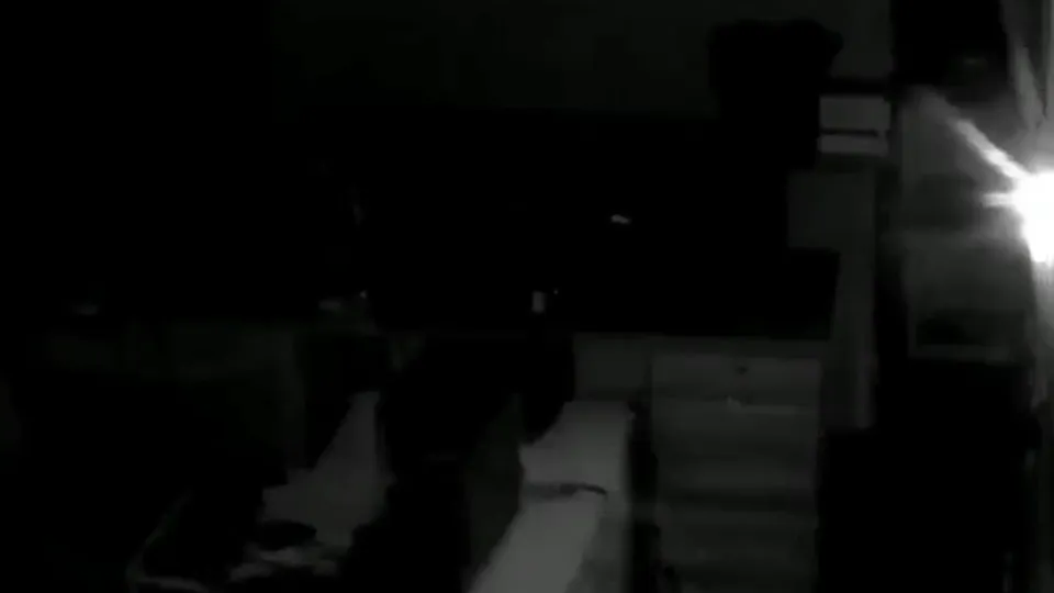 Vídeo mostra intensidade do sismo que abalou o Afeganistão