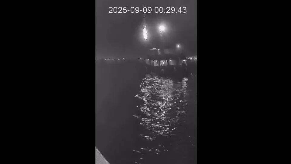 Flotilha humanitária publica vídeo com ataque de drone ao navio