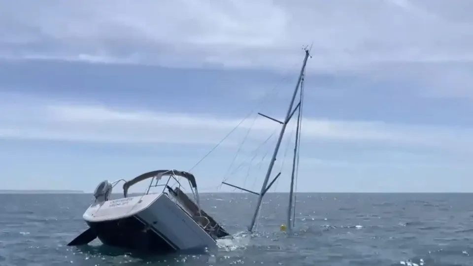 Veleiro surpreendido por orcas afundou "em menos de uma hora"