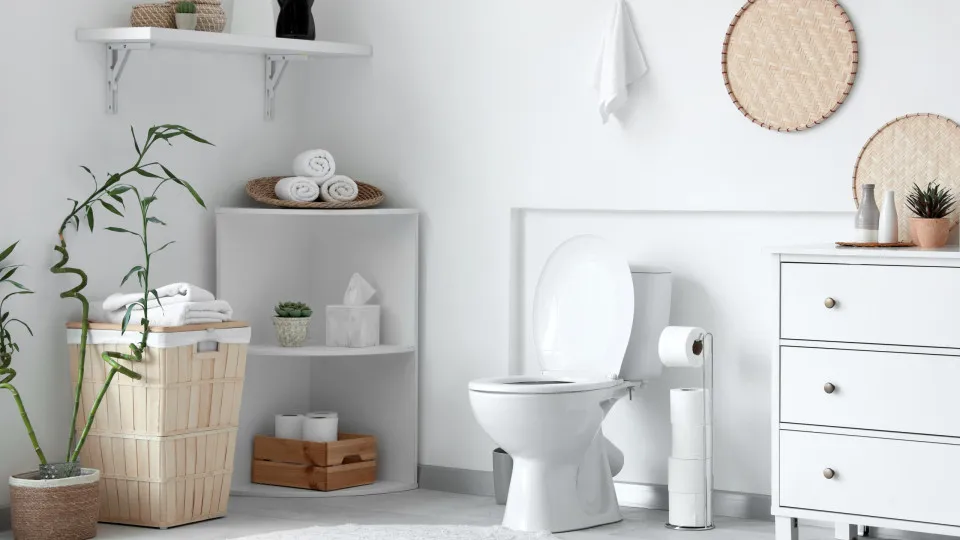 Cinco coisas no WC que precisa de substituir com mais frequência