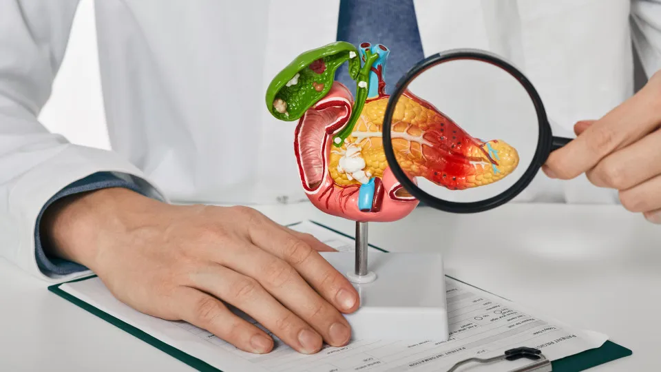 O mau hábito diário que pode triplicar o risco de cancro do pâncreas