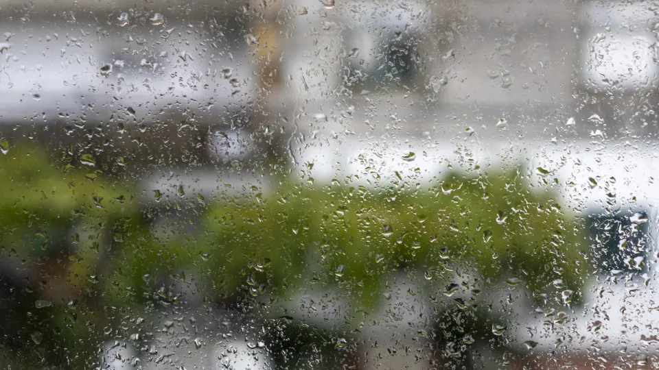 Tempestade Gabrielle fez quase 200 ocorrências (maioria queda de árvores)