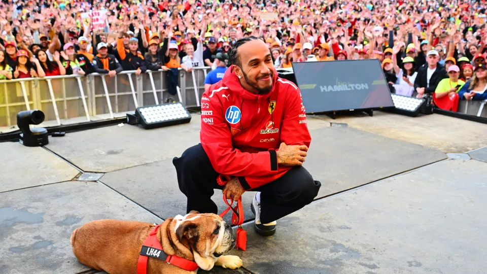 Lewis Hamilton de luto pelo 'icónico' Roscoe: "Morreu nos meus braços"