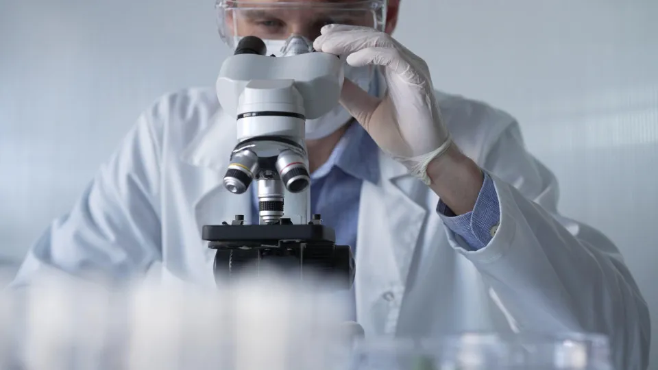 Politécnico da Guarda com cinco investigadores em lista de mais citados