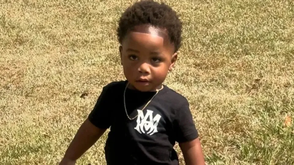Menino de 2 anos morre atacado por cães enquanto ama fazia sesta