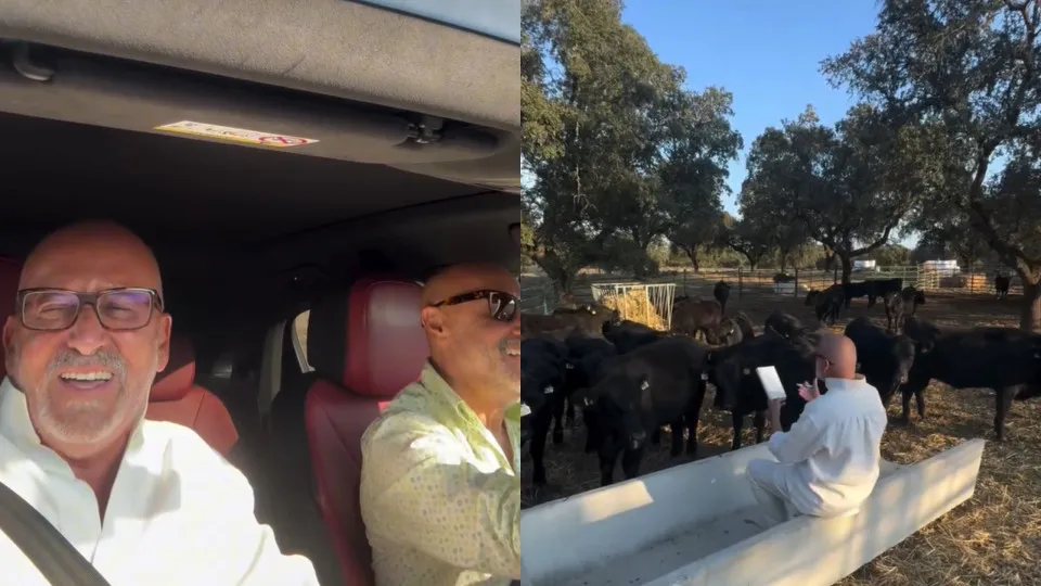 Até para as vacas leu! O divertido dia de Goucha e Rui no campo