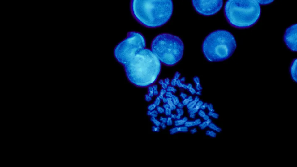 A descoberta de moléculas fluorescentes faz avanços na ciência