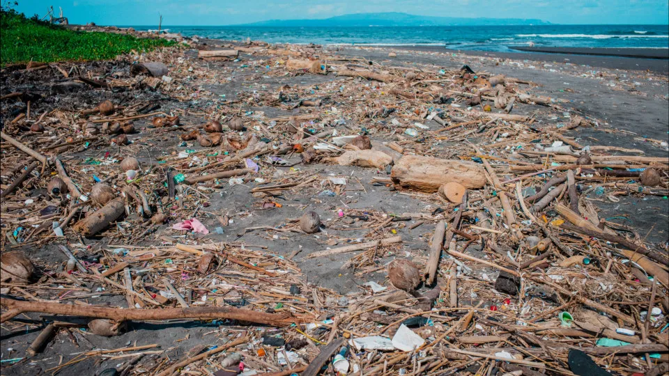 Conhecer o litoral e apanhar lixo marinho, projeto "Coastwatch" começa hoje