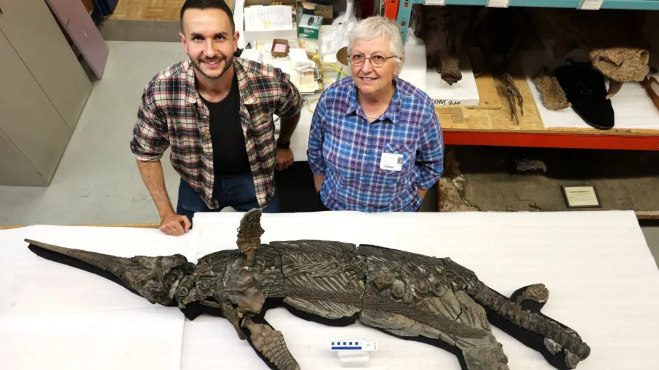Identificada nova espécie de réptil marinho pré-histórico Dragão-Espada de Dorset