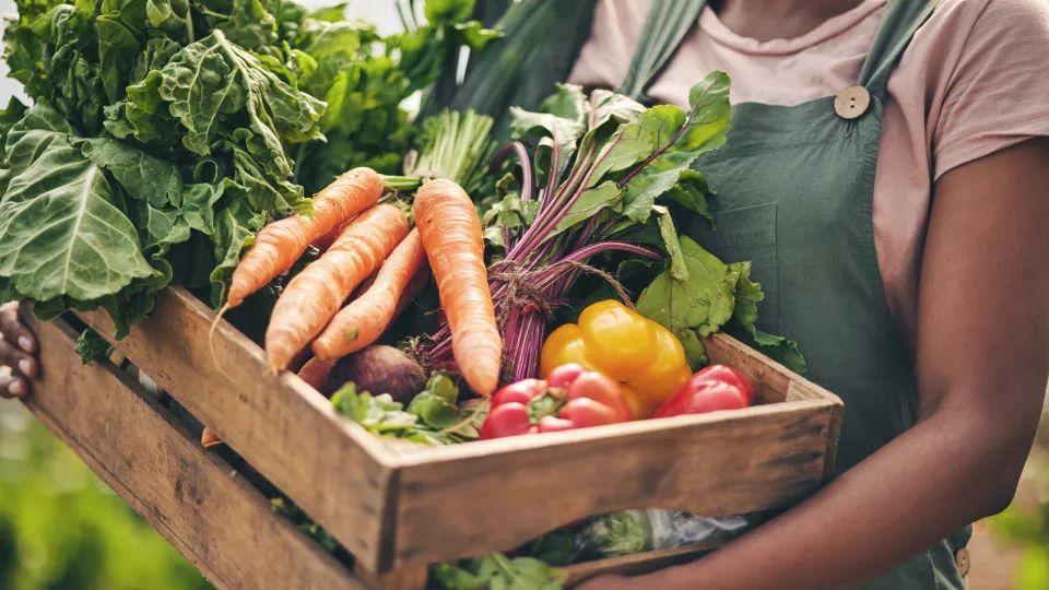 Este vegetal (muitas vezes ignorado) é uma 'arma secreta' contra o cancro
