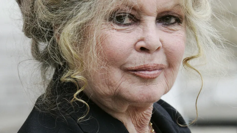 Brigitte Bardot já está em casa a recuperar após cirurgia