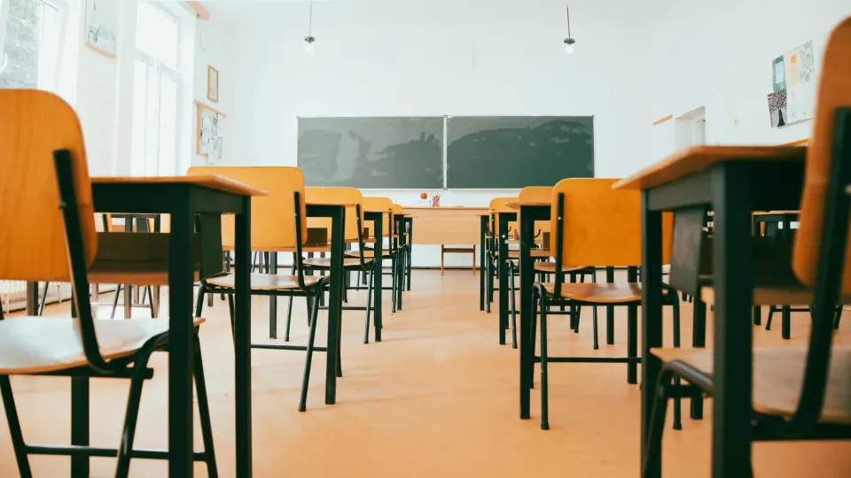 Infestação de pulgas dita encerramento de escola básica na Maia