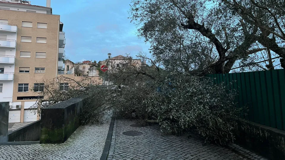Autarca de Leiria alerta que ansiedade das pessoas está a crescer