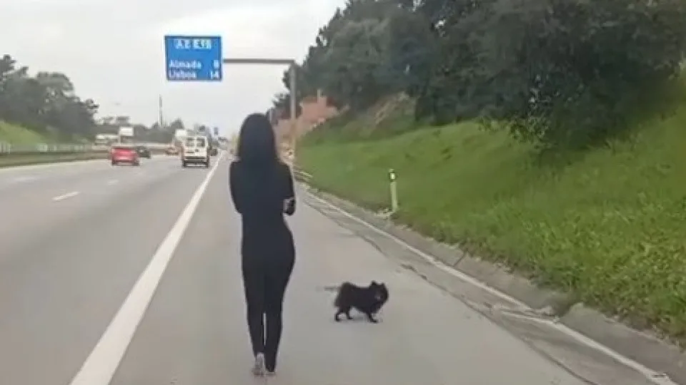 Mulher percorre vários quilómetros a pé na A2 com os cães Mulher percorre vários quilómetros a pé na A2 com os cães