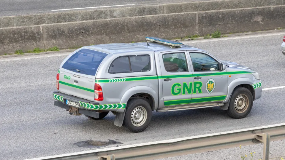 GNR apreende mais de meia tonelada de noz psicoativa em Lisboa