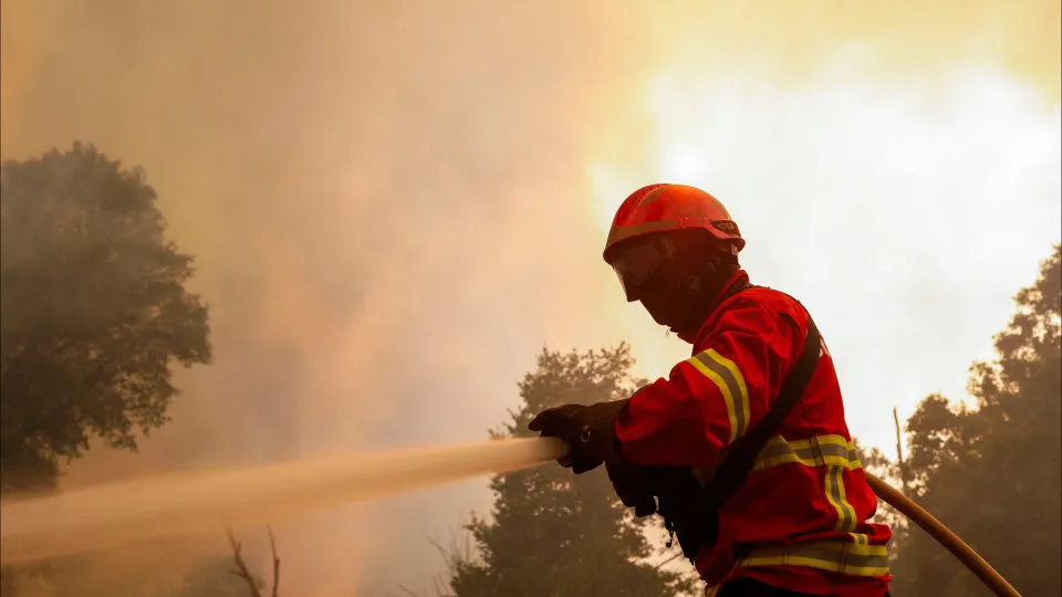 Beira Baixa aprova programa de ação para a gestão integrada de fogos