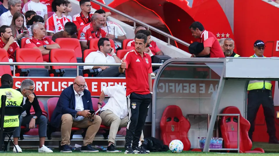 Sem baixas de peso. O onze decisivo de Marco Silva no Benfica-St. Gallen