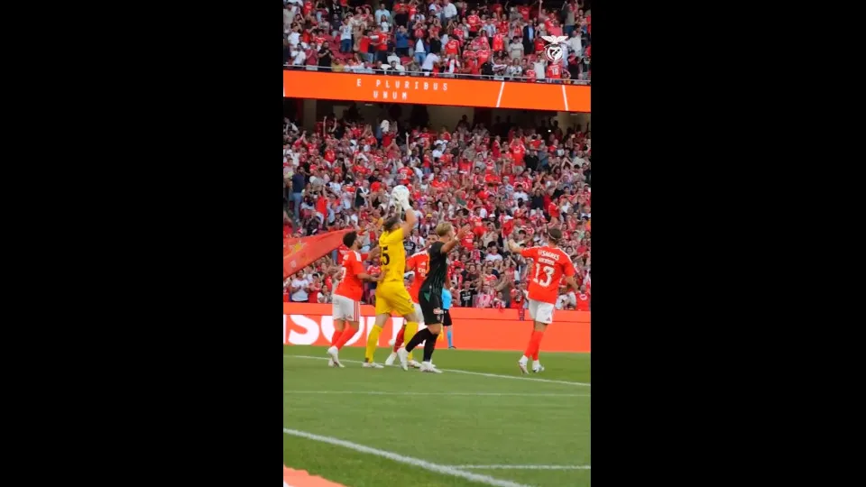 Rematar, marcar e… apressar. Foram assim os festejos do golo de Pavlidis