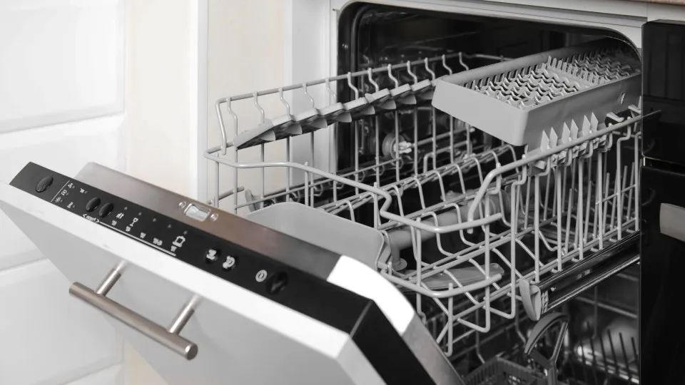 Sabia disto? 6 coisas curiosas que podem ir à máquina de lavar loiça