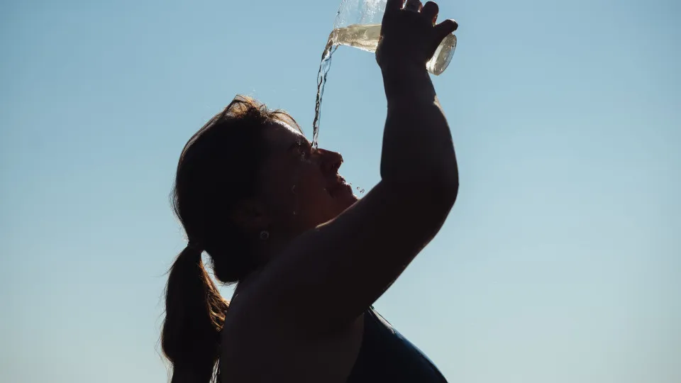 Aliança pela Saúde pede mais ambição da Europa contra calor