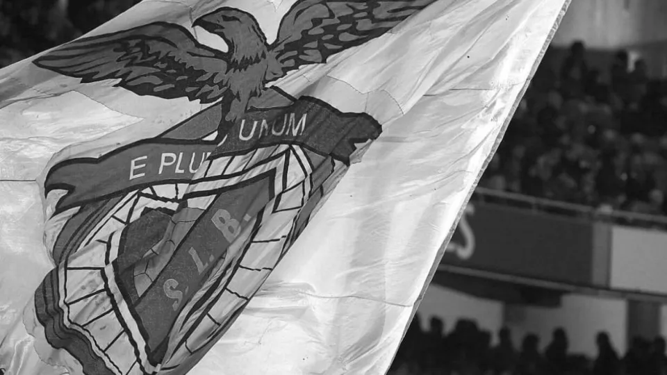 Benfica emite nota de pesar após terramoto na Colômbia: "Ajudar em tudo…"