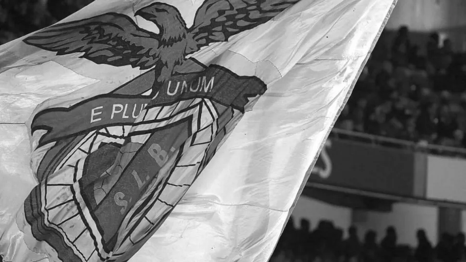 Benfica emite nota de pesar após terramoto na Colômbia: "Ajudar em tudo…"