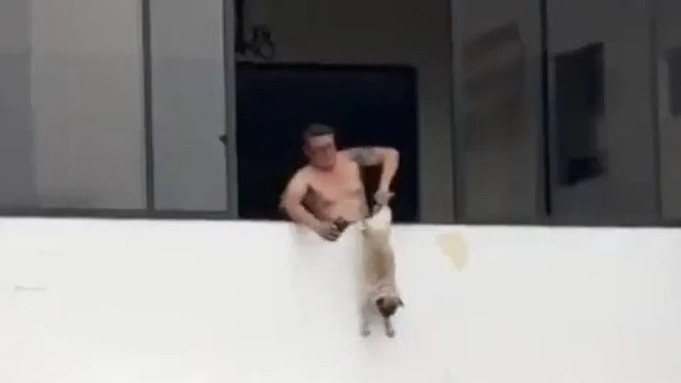 Ex-jogador de futebol detido por maus-tratos a cão