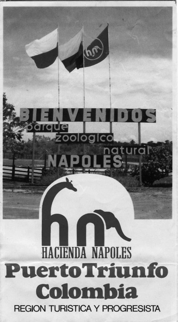 "Entre o meu pai humilhado nos EUA ou morto, prefiro que esteja morto"