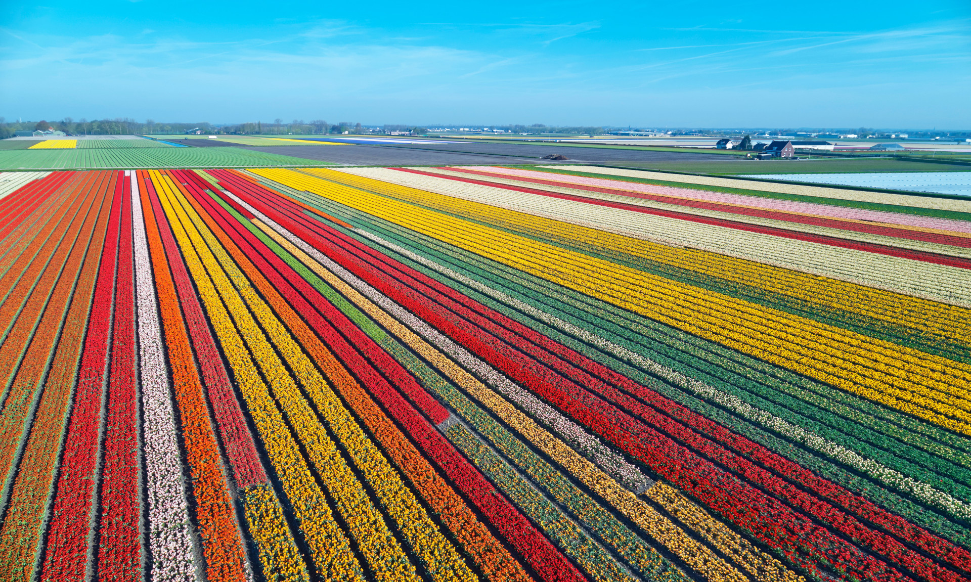 Fotos impressionantes que assinalam a chegada da primavera
