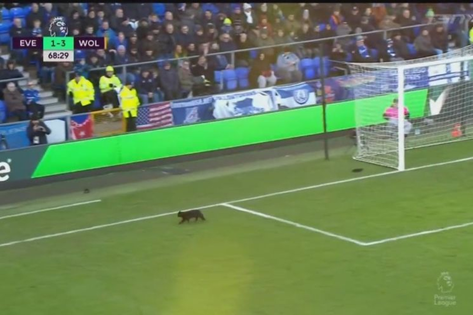 A louca corrida de um gato preto marcou o duelo mais luso da Premier