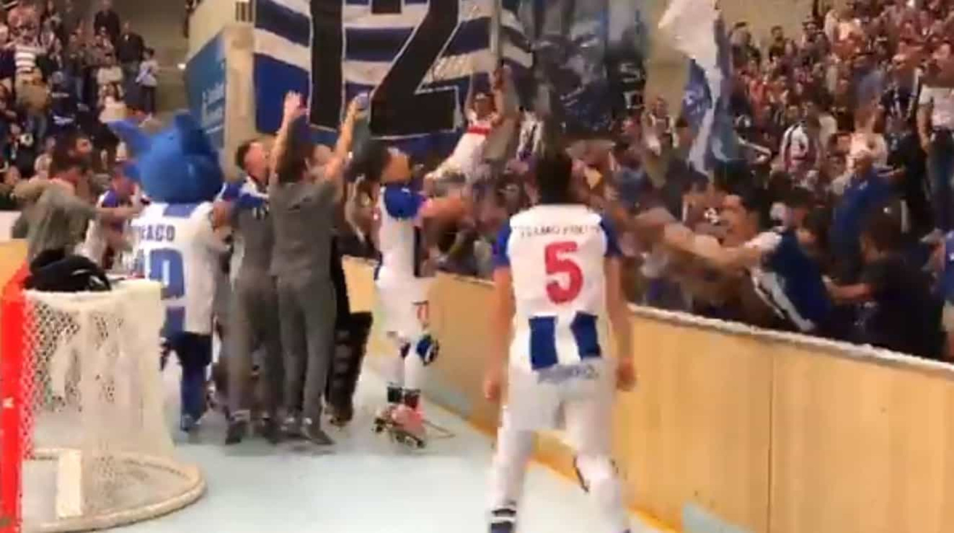 FC Porto sagra-se campeão nacional de hóquei e o Dragão Caixa reage assim