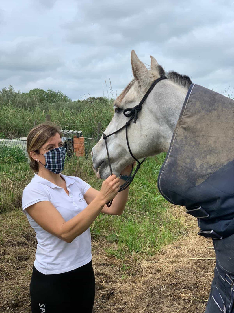 Al Equine Masks: Da paixão pelos cavalos até à proteção individual