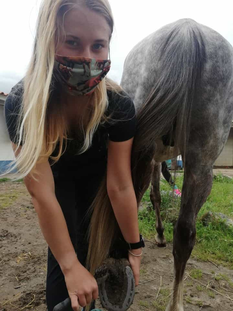 Al Equine Masks: Da paixão pelos cavalos até à proteção individual