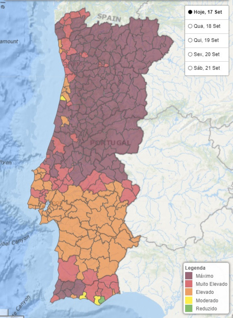 Notícias ao Minuto