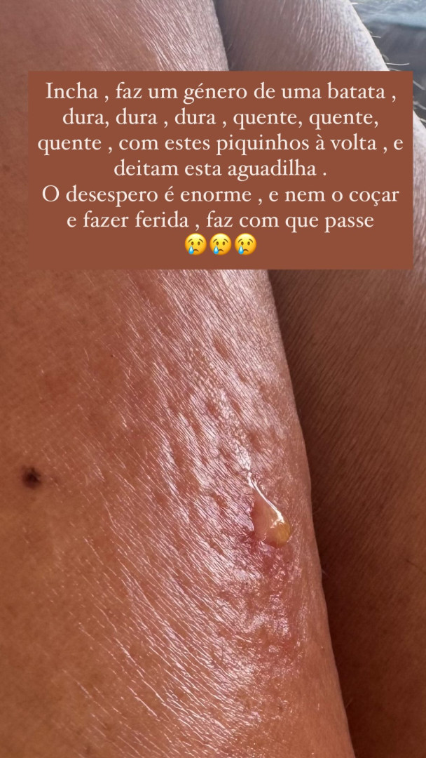 Notícias ao Minuto