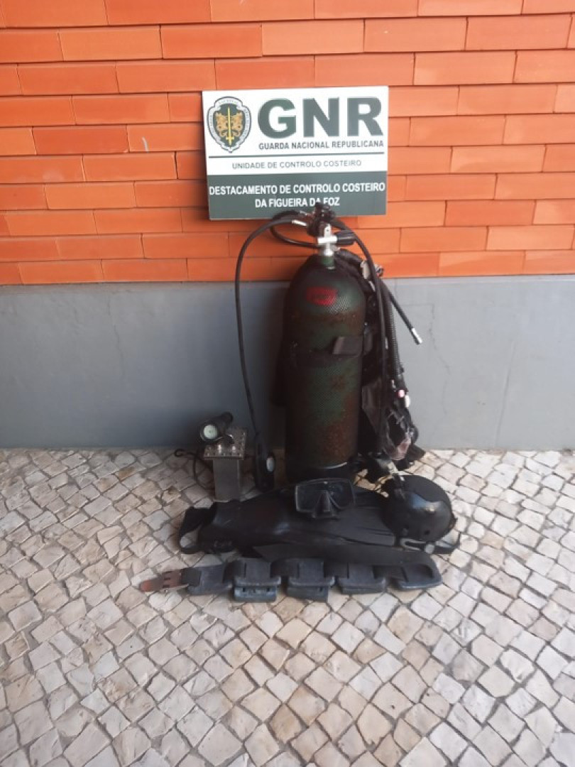Notícias ao Minuto
