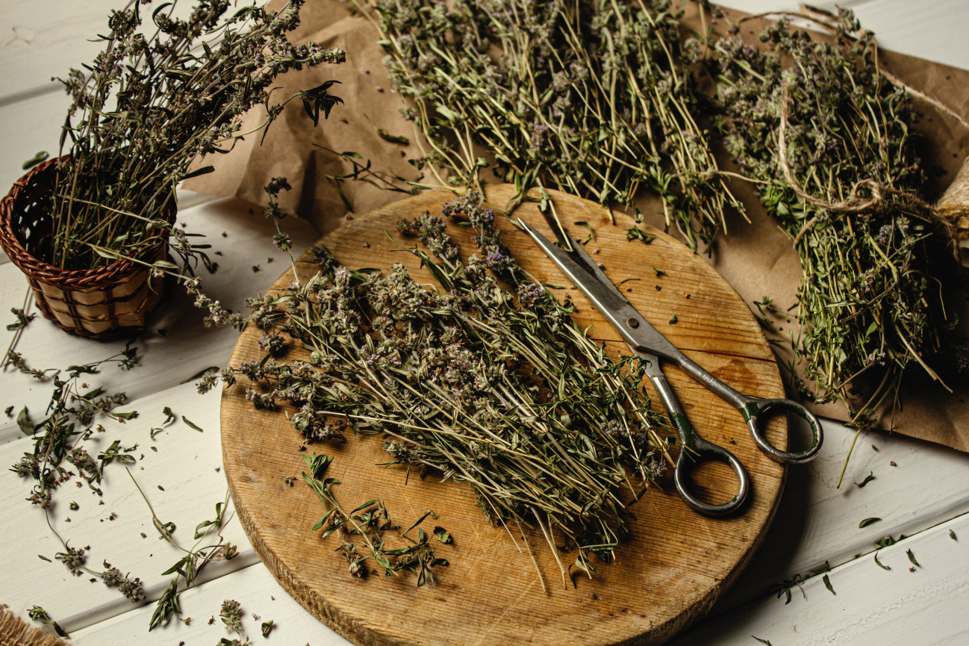 Notícias ao Minuto Notícias ao Minuto